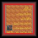 Haqi Gall 02 * 22.03.2008 * 341 x 391 * (39KB)
